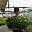 하신농장 이미지