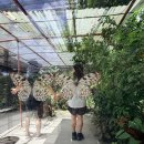 (주)세광 푸른주유소 | 20260320_보홀 자유여행 8