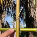 뭐먹냥? 이미지