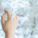 양평벚꽃하우스 이미지