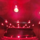 다온광택 이미지