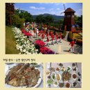 곡성(순천) 이미지