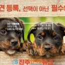 우방가축병원 네이버블로그