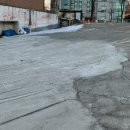 작동오리불고기 이미지