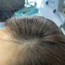 참.미쁘다