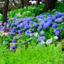 이현테크 이미지