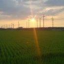 햇살농장 태양광 이미지