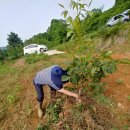 새벽농장 이미지