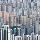 강남-025 이미지