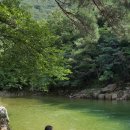 솔밭캠프 이미지