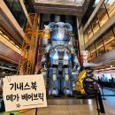 플라워뮤지 | 베어브릭커넥트 파주 데이트 코스 추천 국내 최대 규모 이색 뮤지엄 카페