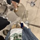 (주)제주드림여행사 | [8박 9일 몽골 여행기✨] 중부·고비투어 Pt.1