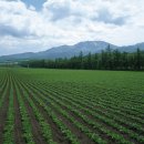 프랜드마트 이미지