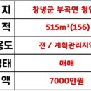 KN부동산중개 이미지