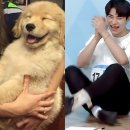 한결 이미지