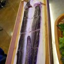 바다장어 이미지