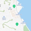 동해초등학교 | 사전투표소 강원특별자치도 동해시 송정동 송정동사전투표소 제9회 전국동시지방선거