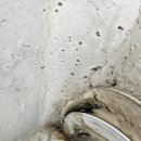 낙천대 | 동작구실리콘 신대방동샷시코킹 후기 - 보라매롯데 낙천대