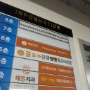 해든의원 | 신경치료 4회 후기｜임시치아 장착·소요시간·통증·소아치과 구경｜아산치과 내돈내산