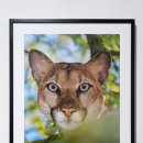 JCC아트센터 이미지