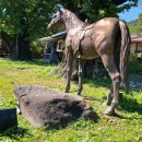 송촌리 경로당 이미지