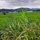 본1리마을회관 이미지