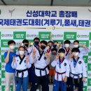 용인대 신성 태권도장 네이버블로그