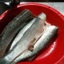 금솔민박 이미지