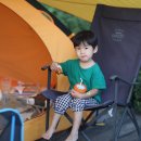 성주목장 이미지