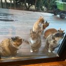 노고롯 스테이 이미지