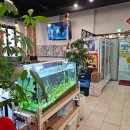 신도시남로141번길 | 사당양꼬치 메뉴 후기 잡내 없이 마라 중식까지 모두 즐겼어요