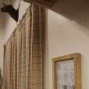 나무사이에 자연속으로 이미지