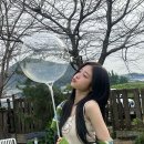 갤러리와양푼이 이미지