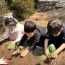 김해유치원 이미지