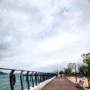 리스(219) 이미지