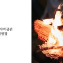 잉카마야박물관캠핑장 네이버블로그