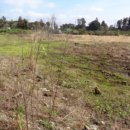 표선리-1 이미지