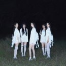 숲속노을로(2) 이미지