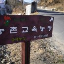 닭마실 이미지