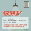 디아나동물병원 이미지