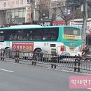 로얄9052 이미지