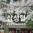 전기차충전소_삼성혈 인근 공영주차장 이미지