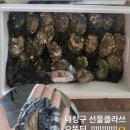 해와달 수산
