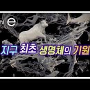 모든 생명체의 기원은 하나였다? | 지구 최초 생명의 기원🌏 | 모든 생명체의 공통 조상, 루카 | 인류는 태양의 후예?🌞 | 지식 이미지