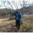 이장배농장 이미지