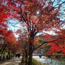 입곡군립공원 이미지