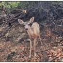 우신 행정사 사무소 이미지