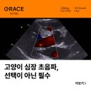 그레이스 고양이 심장&치과병원 이미지