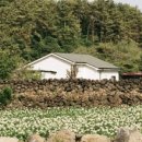 세화14길 이미지