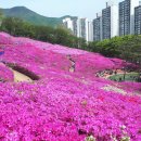 군포 철쭉동산 & 수리산둘레길 이미지